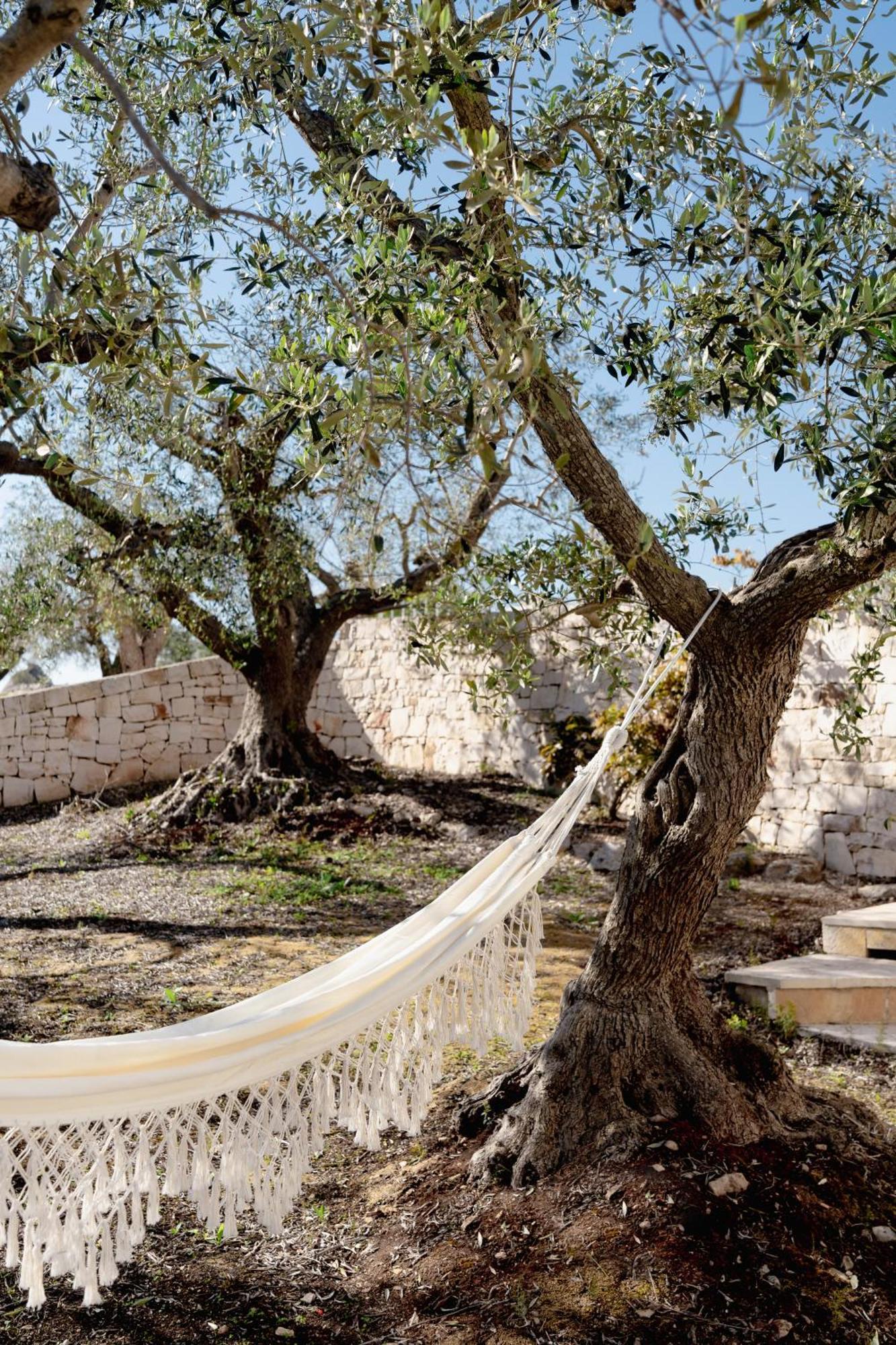 アルベロベッロ Trullo Zairaヴィラ エクステリア 写真
