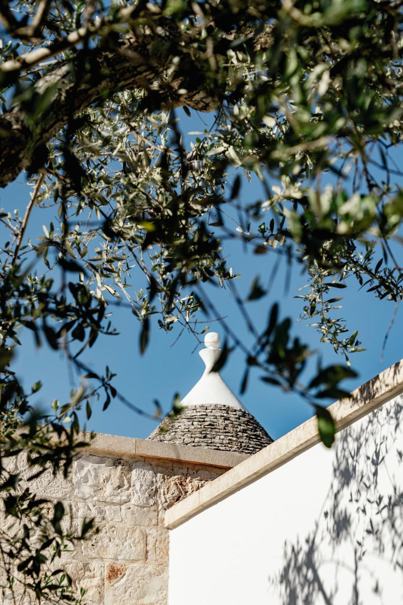 アルベロベッロ Trullo Zairaヴィラ エクステリア 写真